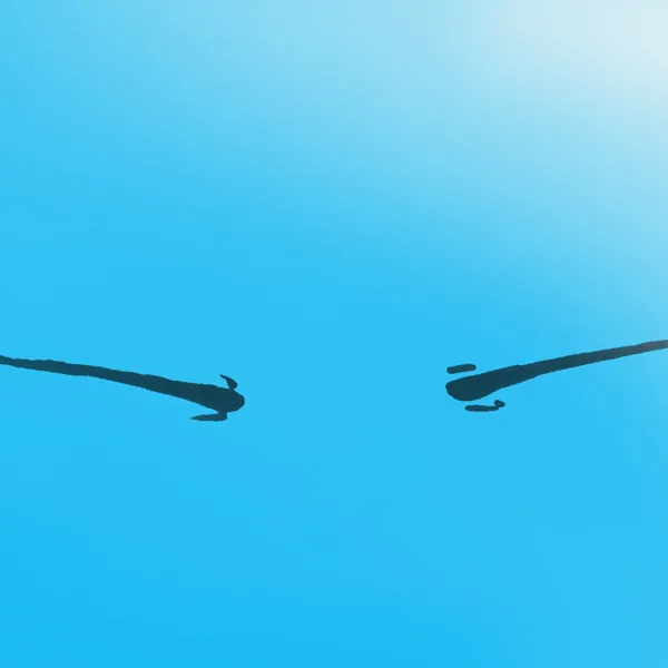 https://makerworld.bblmw.com/makerworld/user/2428300131/collection/2025-12-22_5ce28b04b215d.jpg