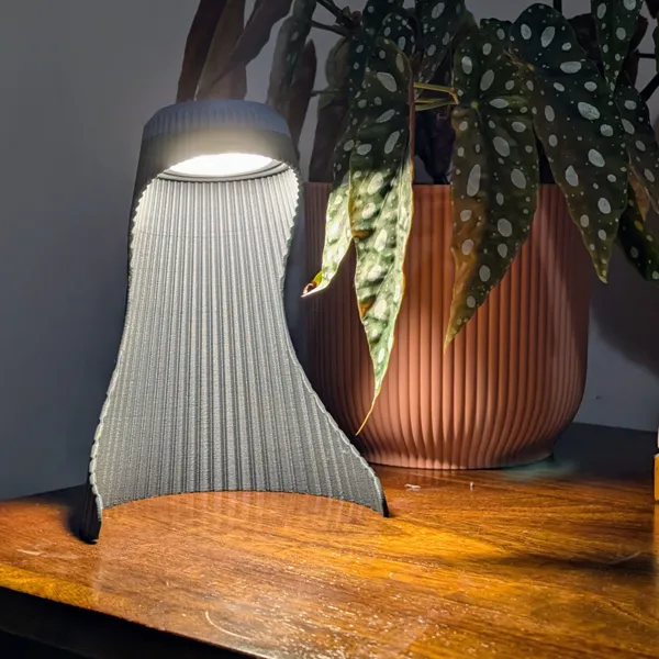 https://makerworld.bblmw.com/makerworld/user/2463472030/collection/2025-11-21_49acf7d1a3ca38.jpg