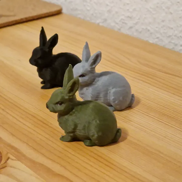 https://makerworld.bblmw.com/makerworld/user/2479547732/collection/2025-07-10_6c5f6692bc6ff8.jpg