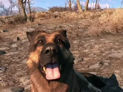 Fallout 