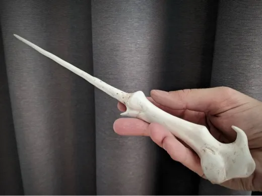 https://makerworld.bblmw.com/makerworld/user/2519155349/collection/50cd0ef0-4051-11f0-8f4b-e342337144f4.jpg