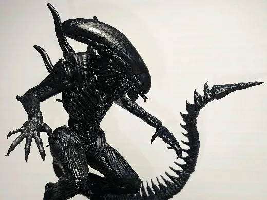 https://makerworld.bblmw.com/makerworld/user/2561259845/collection/14108b00-a70c-11f0-b3d0-b5000ecd320d.jpg