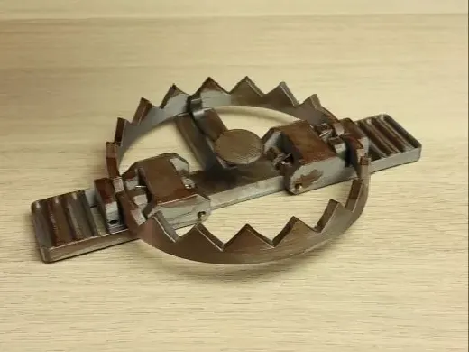 https://makerworld.bblmw.com/makerworld/user/2563901579/collection/559dad10-ec8f-11ef-b3e3-7304ddbb42f3.jpg