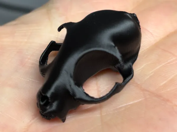 https://makerworld.bblmw.com/makerworld/user/2598916792/collection/2025-02-13_1000ff37bcffe.jpg