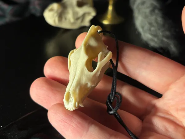 https://makerworld.bblmw.com/makerworld/user/2598916792/collection/2025-03-18_531bc10037c0c.png