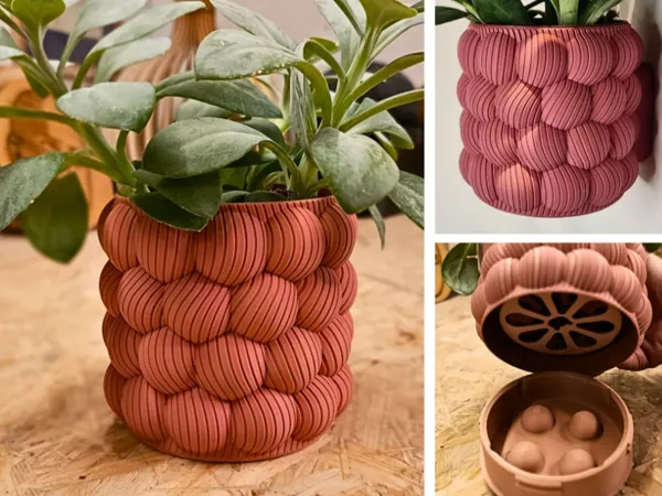 https://makerworld.bblmw.com/makerworld/user/2677020136/collection/2024-12-02_c48079a649174.png