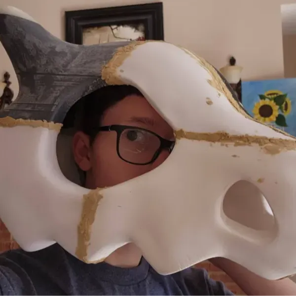 https://makerworld.bblmw.com/makerworld/user/2692608839/collection/2025-05-31_af26e52887c538.webp