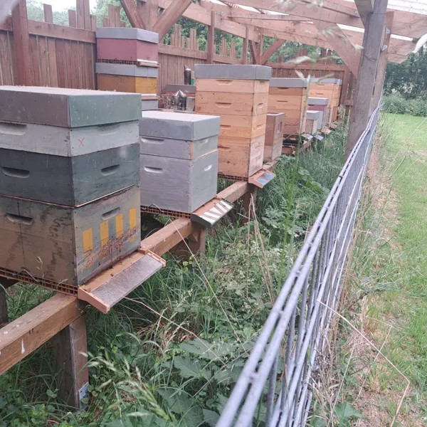 https://makerworld.bblmw.com/makerworld/user/270477278/collection/2025-09-02_b3e5e5ce30e06.jpg