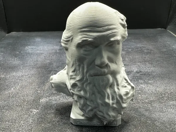https://makerworld.bblmw.com/makerworld/user/2738461600/collection/2025-02-18_e9c5ad3a16259.jpg