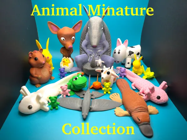 https://makerworld.bblmw.com/makerworld/user/2755248772/collection/2025-03-28_9afae9f08b7a68.jpeg