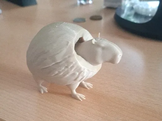 https://makerworld.bblmw.com/makerworld/user/2770755705/collection/444c6000-446f-11f0-ab84-4b66abaef413.jpg