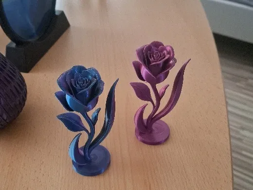 https://makerworld.bblmw.com/makerworld/user/2770755705/collection/628cadf0-45d6-11f0-8095-2bd1f3f9a78d.jpg