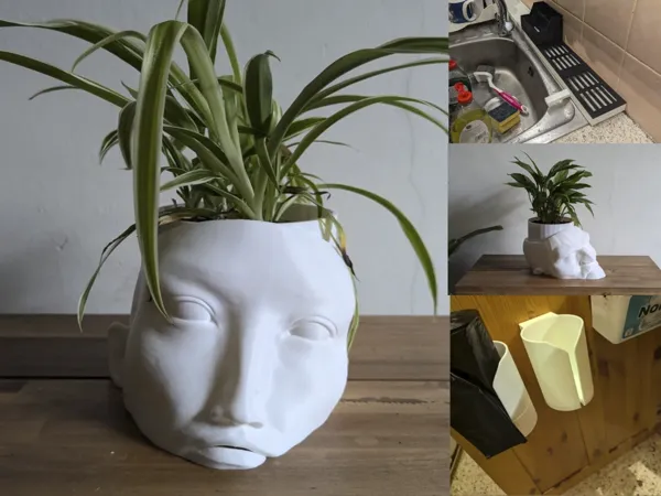 https://makerworld.bblmw.com/makerworld/user/2804782663/collection/2024-12-02_cda2411e86e67.webp