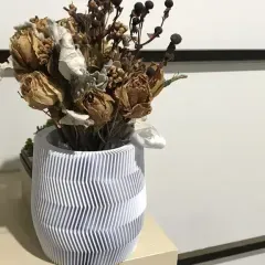 https://makerworld.bblmw.com/makerworld/user/2836792216/collection/2025-10-21_e2f6221016f34.webp