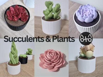 Succulents