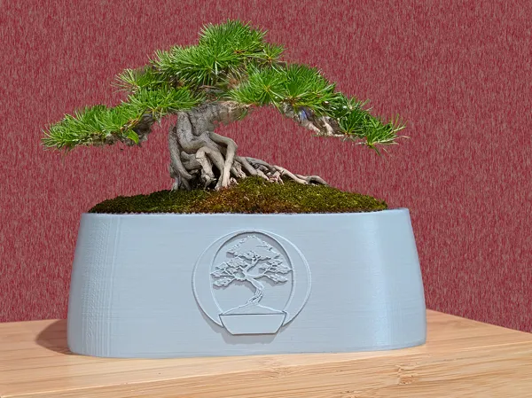 https://makerworld.bblmw.com/makerworld/user/2868984931/collection/2025-02-19_453c698f2c993.png