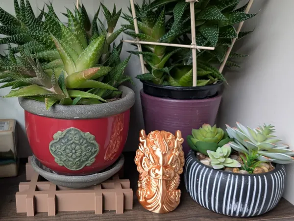 https://makerworld.bblmw.com/makerworld/user/2868984931/collection/2025-03-19_8f1688a0513c38.webp