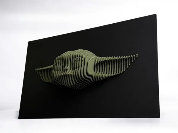 https://makerworld.bblmw.com/makerworld/user/2874843041/collection/2025-03-02_f3f0d14f8f6aa8.jpg