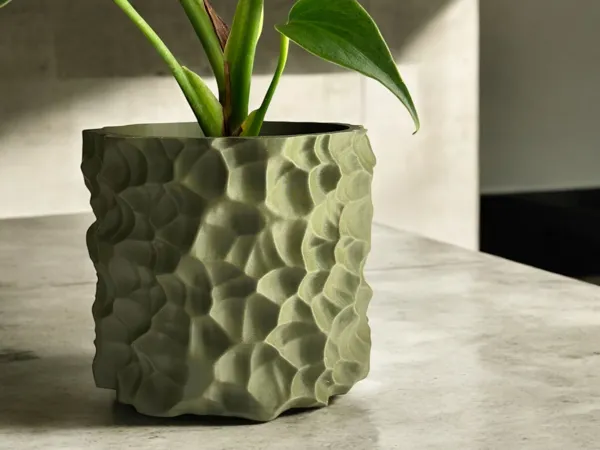 https://makerworld.bblmw.com/makerworld/user/2874843041/collection/2025-03-24_94a40546b40dc8.jpg