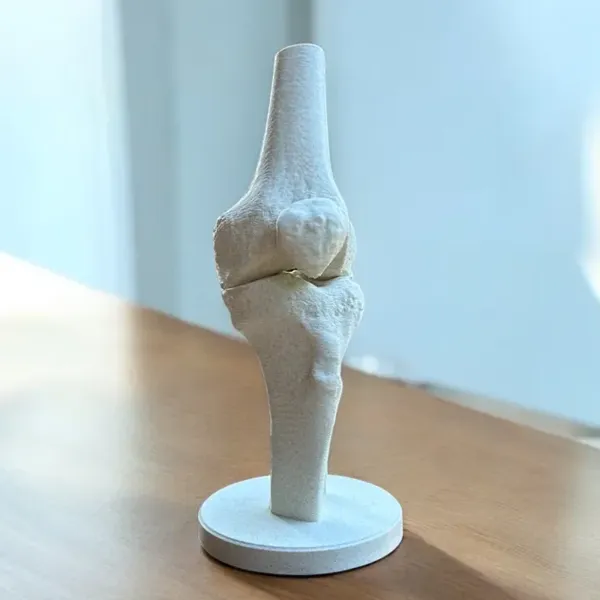 https://makerworld.bblmw.com/makerworld/user/2874843041/collection/2025-11-30_e6f8f3443dc768.webp
