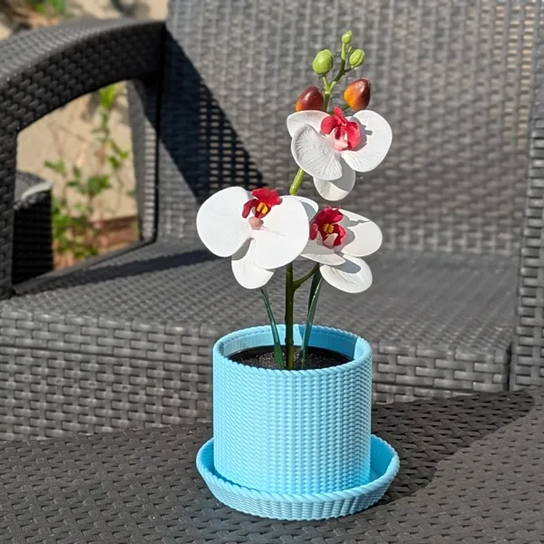 https://makerworld.bblmw.com/makerworld/user/2890082187/collection/2025-06-17_901ffb0b85b39.jpg