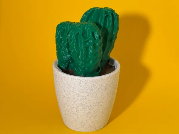 https://makerworld.bblmw.com/makerworld/user/2892920295/collection/2025-01-25_75dcef399b9c48.jpeg
