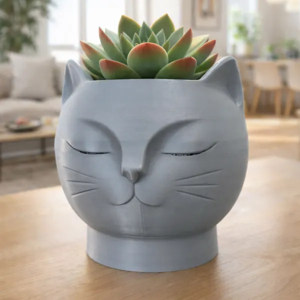 https://makerworld.bblmw.com/makerworld/user/2931663515/collection/2026-01-06_3d3df61f938798.png