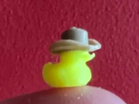 https://makerworld.bblmw.com/makerworld/user/2944290941/collection/2025-04-24_67bfbd9c3537d.png
