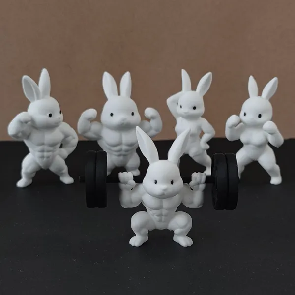 https://makerworld.bblmw.com/makerworld/user/295767500/collection/2025-11-15_52c5cd0691db7.jpg