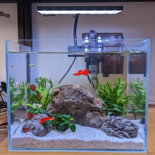https://makerworld.bblmw.com/makerworld/user/302506218/collection/2025-07-30_dae6d24b03ca6.png
