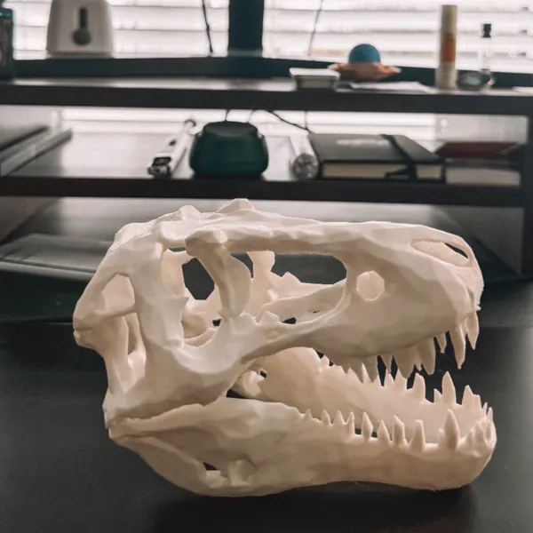 https://makerworld.bblmw.com/makerworld/user/3042348258/collection/2025-09-11_5f7a42f07c4e08.jpeg