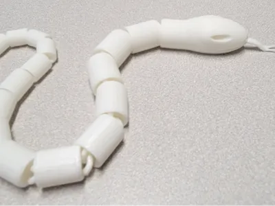 Snake