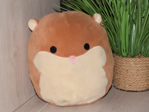 https://makerworld.bblmw.com/makerworld/user/3098306331/collection/2024-11-28_6d646b959b637.jpg