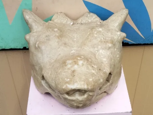 https://makerworld.bblmw.com/makerworld/user/318799203/collection/90118d80-62ca-11ef-b476-6b9237b2d372.jpg