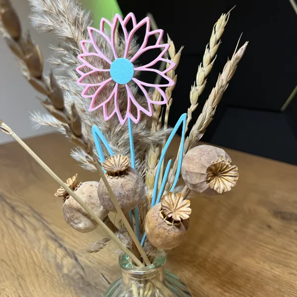 https://makerworld.bblmw.com/makerworld/user/3193890863/collection/2025-05-28_4a96df9c63ba98.jpg
