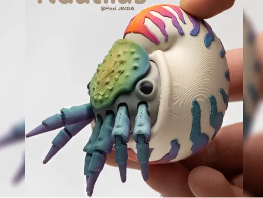 https://makerworld.bblmw.com/makerworld/user/3251946069/collection/2489d8f0-f730-11f0-94f8-4570c6345ff4.jpg