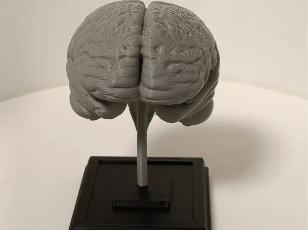 https://makerworld.bblmw.com/makerworld/user/3260080094/collection/2025-01-09_a4a470fc7bed8.jpg