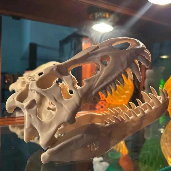https://makerworld.bblmw.com/makerworld/user/3283199369/collection/2025-11-03_e42a58fa7f2be8.jpg