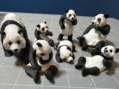 Pandas Family