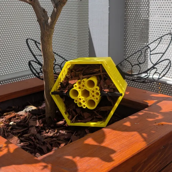 https://makerworld.bblmw.com/makerworld/user/3359207527/collection/2025-05-21_9de162b3d944b.jpg