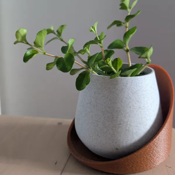 https://makerworld.bblmw.com/makerworld/user/3359207527/collection/2025-07-02_dc75560d2db2e.jpg
