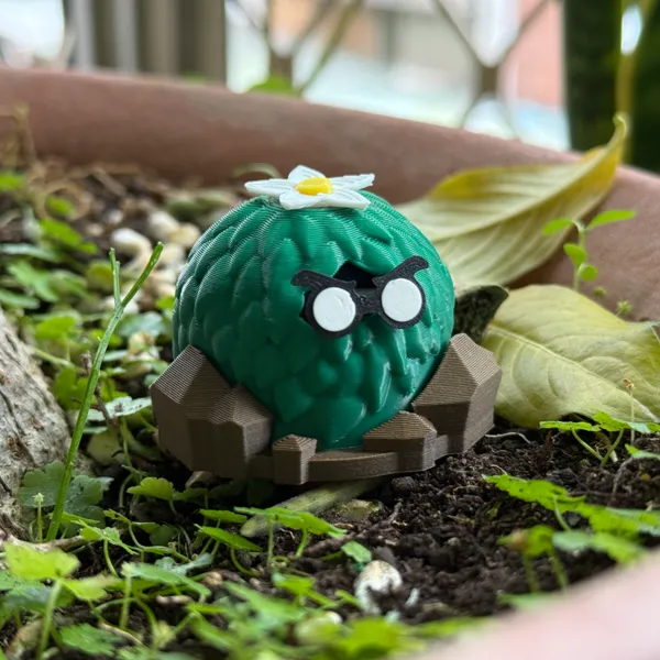 https://makerworld.bblmw.com/makerworld/user/3438996706/collection/2025-06-03_aeb4122a070038.jpeg