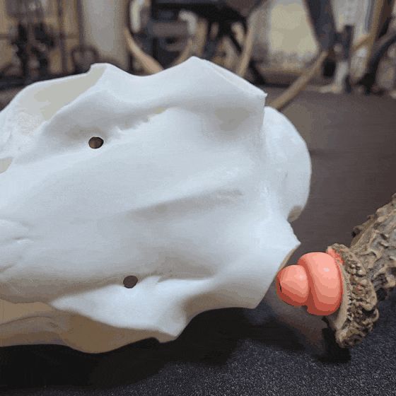 https://makerworld.bblmw.com/makerworld/user/3458034468/collection/2025-05-11_99b6f25ff6558.gif