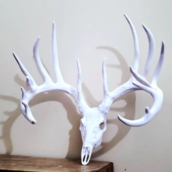 https://makerworld.bblmw.com/makerworld/user/3458034468/collection/2025-09-22_0b17804ab9ff8.jpg