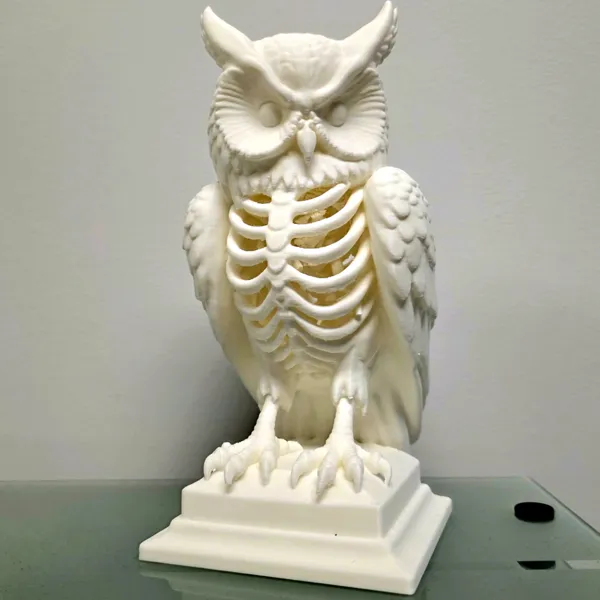 https://makerworld.bblmw.com/makerworld/user/3458034468/collection/2025-10-12_7a0143fcca1cd8.jpg
