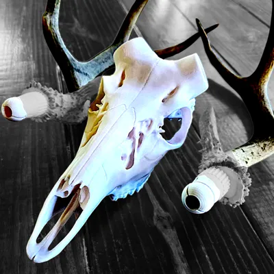 Bullet Anchor Skulls for Antlers