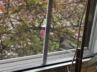 outside