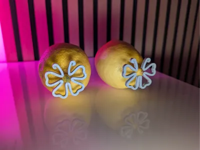 BDSM Toys