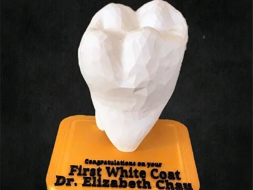 https://makerworld.bblmw.com/makerworld/user/3544452594/collection/fcaea5a0-2579-11f0-932b-f3f13ba0d39b.jpg