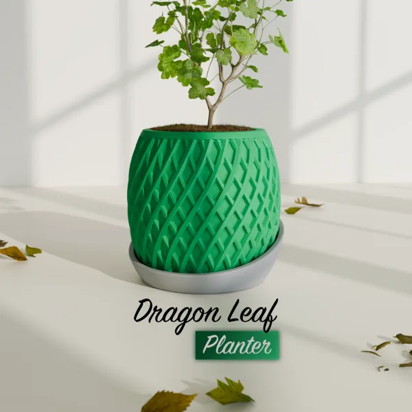 https://makerworld.bblmw.com/makerworld/user/3597413309/collection/2025-08-27_e60b8a1b1baa5.png
